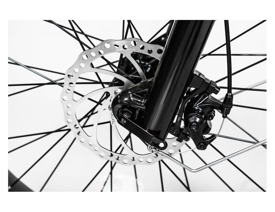 750W BAM EW-Supreme All Terrain Electric Fat Tire Bike
