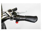 750W BAM EW-Supreme All Terrain Electric Fat Tire Bike