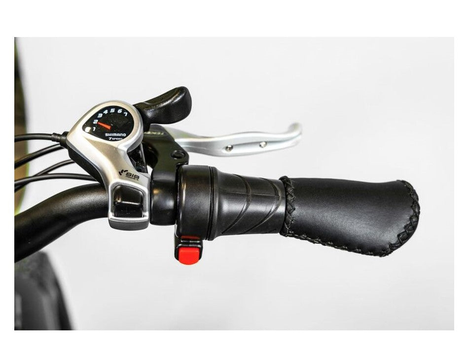750W BAM EW-Supreme All Terrain Electric Fat Tire Bike