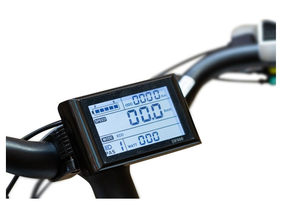 EW 750W Step Thru Electric Bike City Bike