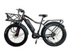 BPM F-1000 1000W Mid Drive All Terrain Fat Tire Electric Bike