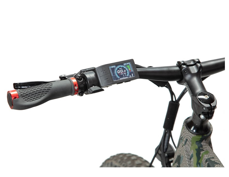 BAKCOU Flatlander 750W All Terrain Electric Bike