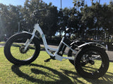 Emojo Caddy Three Wheel Electric Bike Scooter