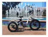 Emojo Caddy PRO Three Wheel Electric Bike Scooter