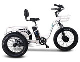 Emojo Caddy PRO Three Wheel Electric Bike Scooter