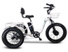 Emojo Caddy PRO Three Wheel Electric Bike Scooter