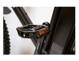 EW Rugged Electric Mountain Bike
