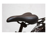 EW Rugged Electric Mountain Bike