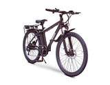 EW Rugged Electric Mountain Bike