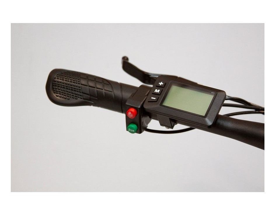 EW Rugged Electric Mountain Bike