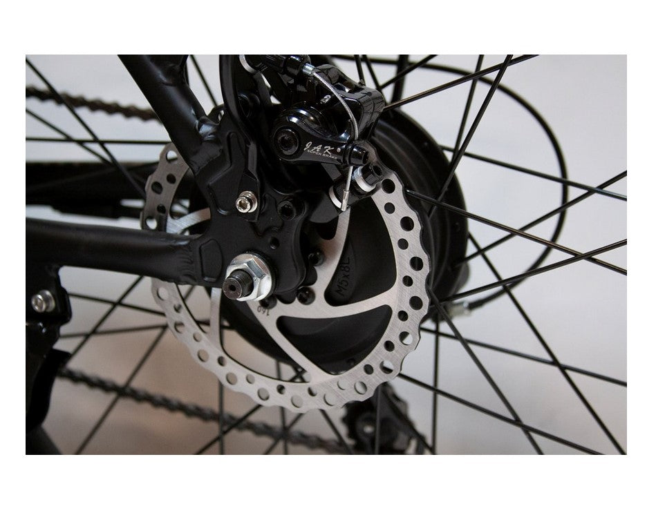 EW Rugged Electric Mountain Bike
