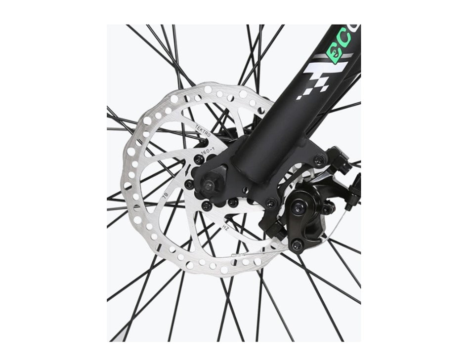 Ecotric Fat Tire Beach Snow Electric Bike