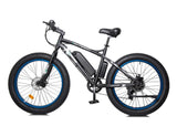 Ecotric Fat Tire Beach Snow Electric Bike