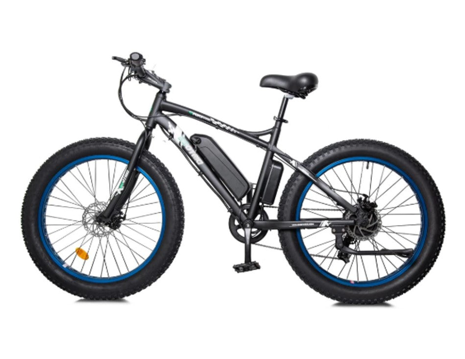 Ecotric Fat Tire Beach Snow Electric Bike