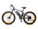 Ecotric Fat Tire Beach Snow Electric Bike