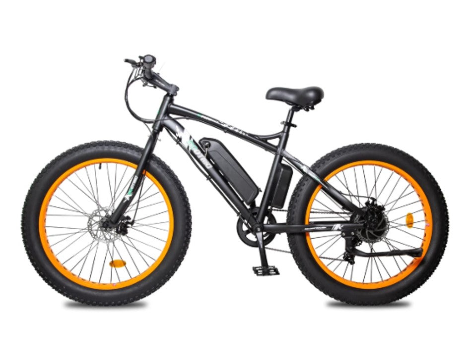 Ecotric Fat Tire Beach Snow Electric Bike