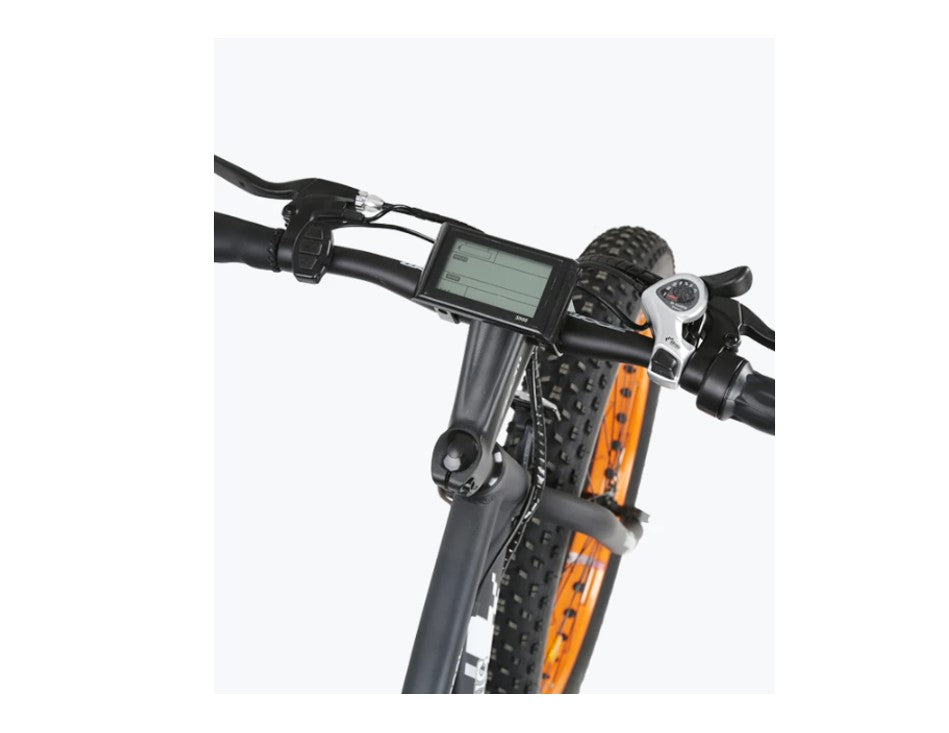 Ecotric Fat Tire Beach Snow Electric Bike