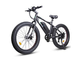 Ecotric Fat Tire Beach Snow Electric Bike
