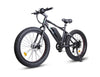 Ecotric Fat Tire Beach Snow Electric Bike