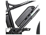 Ecotric Fat Tire Beach Snow Electric Bike