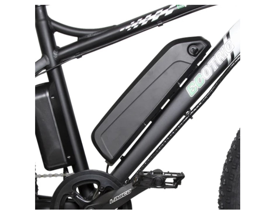 Ecotric Fat Tire Beach Snow Electric Bike