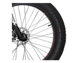 Ecotric Fat Tire Beach Snow Electric Bike