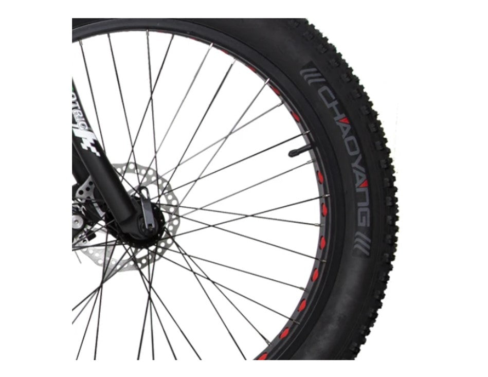 Ecotric Fat Tire Beach Snow Electric Bike