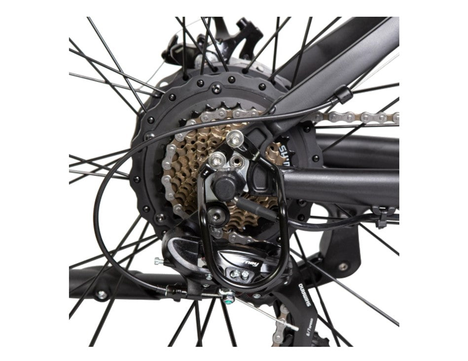 Ecotric Fat Tire Beach Snow Electric Bike