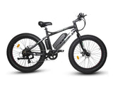 Ecotric Fat Tire Beach Snow Electric Bike