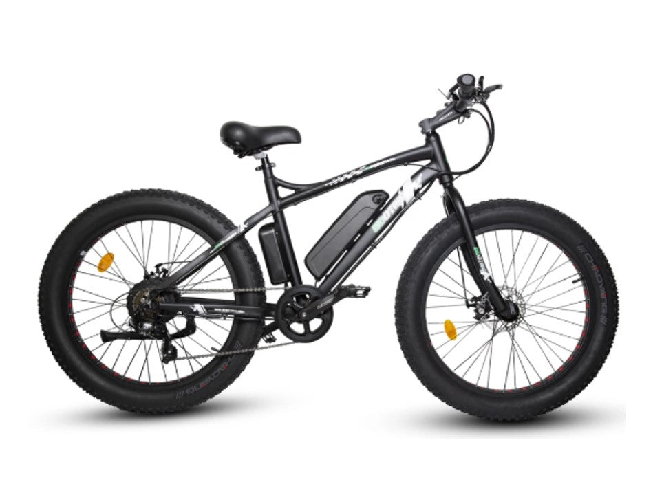Ecotric Fat Tire Beach Snow Electric Bike