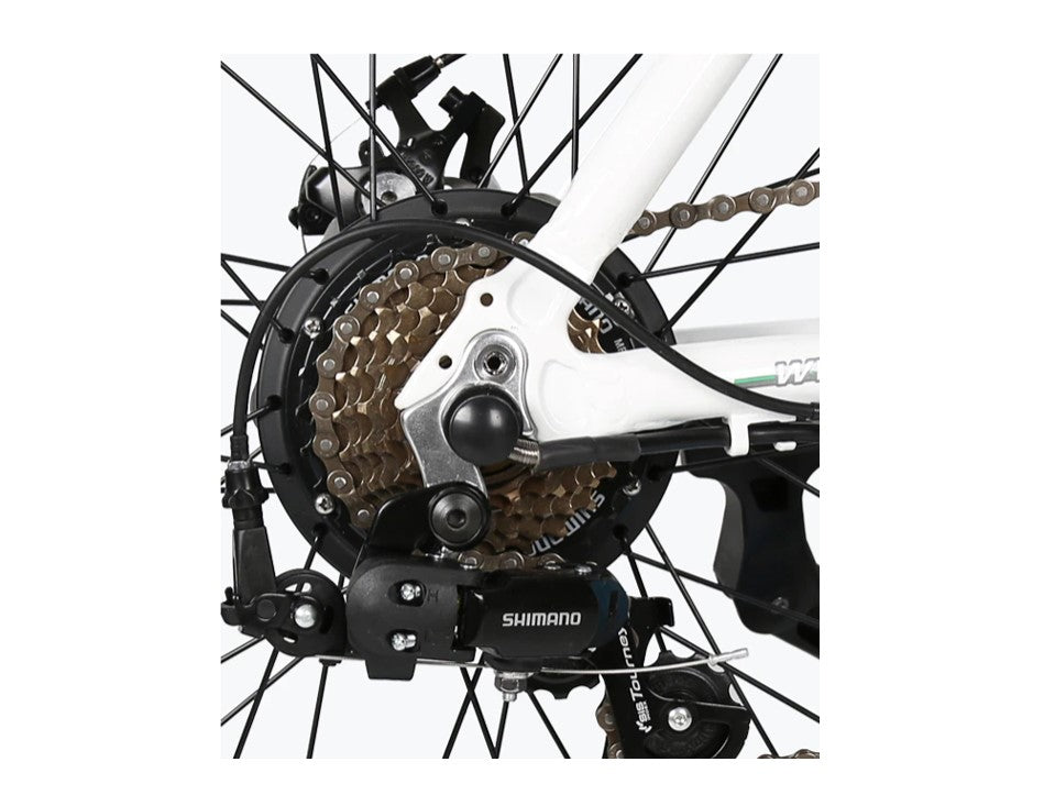 Ecotric Dolphin Fat Tire Folding Electric Bike