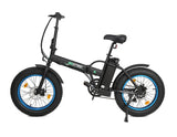 Ecotric Fat Tire Folding Electric Bike