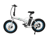 Ecotric Dolphin Fat Tire Folding Electric Bike