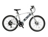 Genze E101 Sport Electric Bike 350 Watts