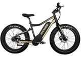 RAMBO RYDER 750W 24" All Terrain Fat Tire Electric Bike