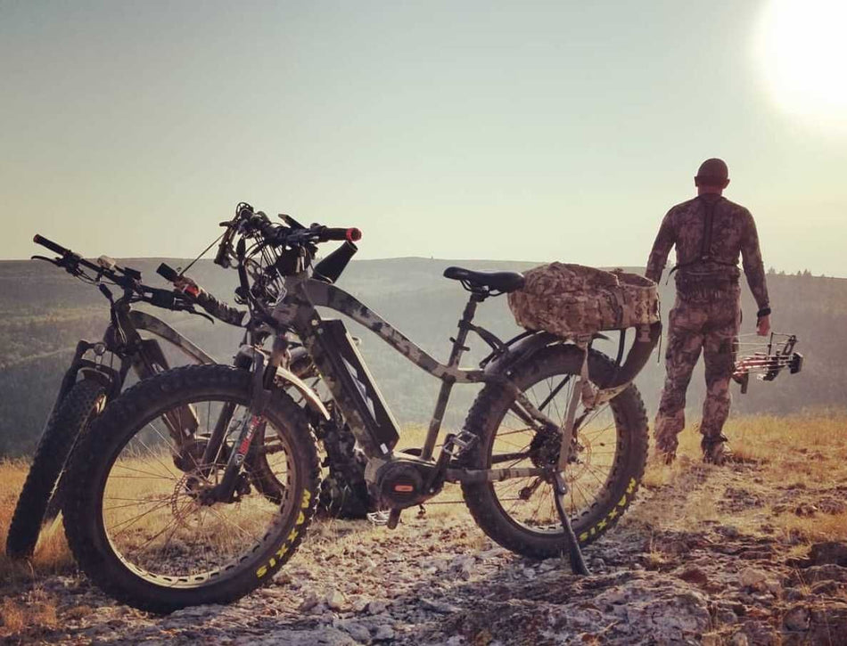 BAKCOU Flatlander 750W All Terrain Electric Bike