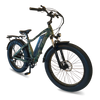 Voltaride Terra All Terrain 750W Fat Tire Electric Bike