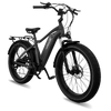 Voltaride Cruise All Terrain 750W Fat Tire Electric Bike