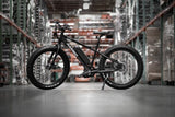 RAMBO CRUISER 500W All Terrain Fat Tire Electric Bike