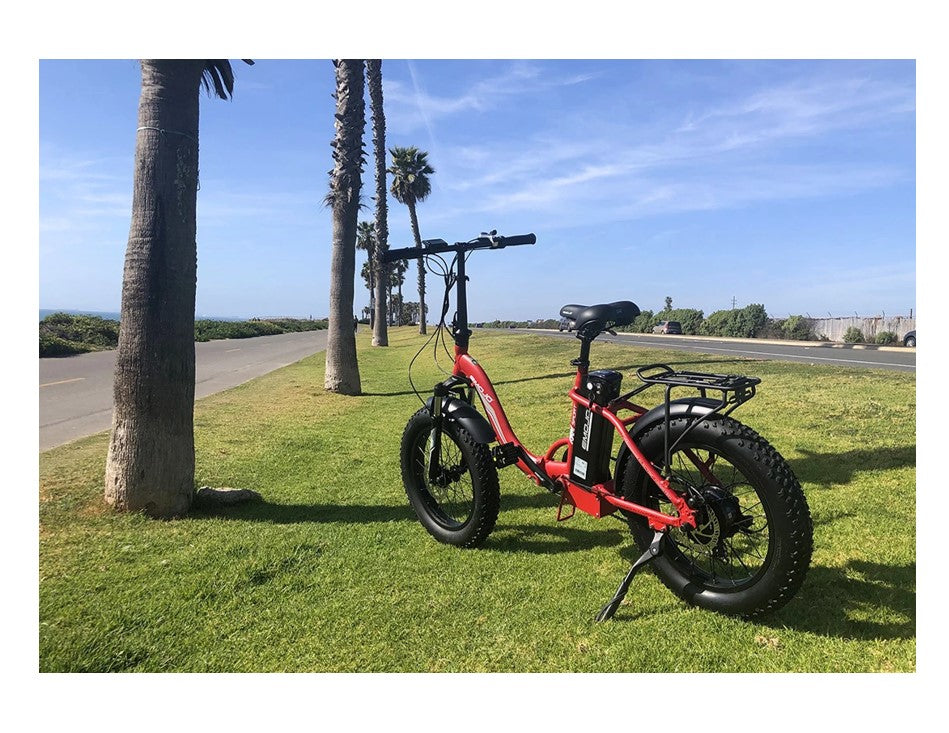 Emojo RAM SS 750W Folding Electric Bike