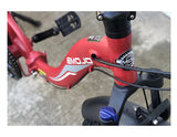 Emojo RAM SS 750W Folding Electric Bike