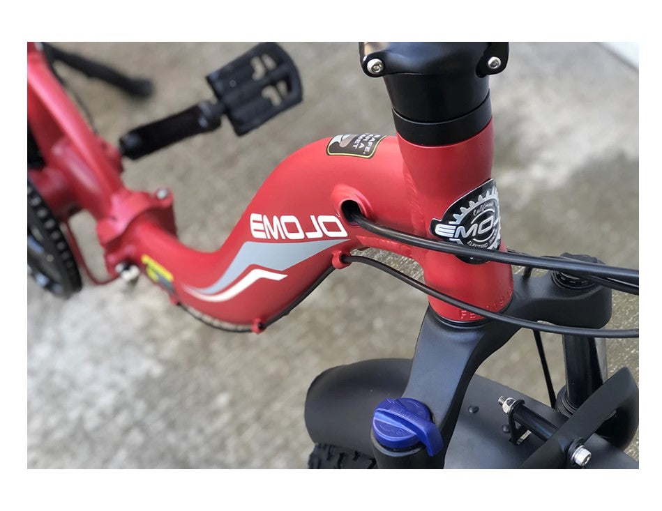 Emojo RAM SS 750W Folding Electric Bike