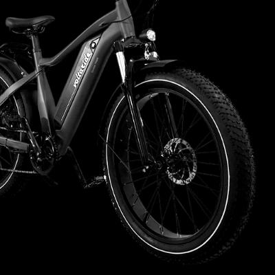 Voltaride Cruise All Terrain 750W Fat Tire Electric Bike