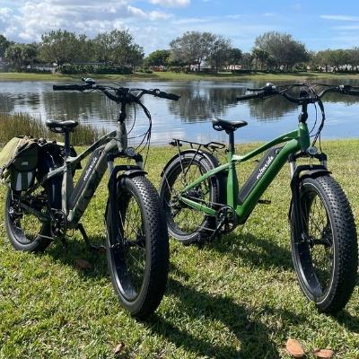 Voltaride Cruise All Terrain 750W Fat Tire Electric Bike