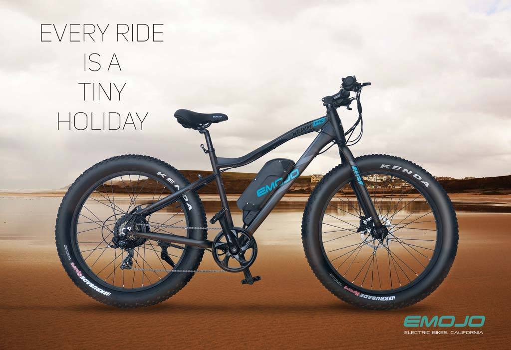 EMOJO Wildcat PRO 750W Fat Tire Electric Mountain Bike with