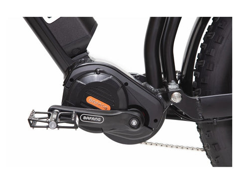 BAKCOU Storm 750W Electric Bike