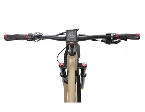 BAKCOU Storm 750W Electric Bike