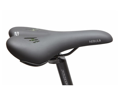 BAKCOU Storm 750W Electric Bike