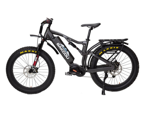 BAKCOU Storm 750W Electric Bike