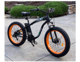 Ecotric Hammer Electric Fat Tire Bike